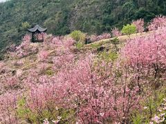 -楠溪江风景名胜区