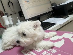 -全心全意动物诊疗中心医院(北苑店)