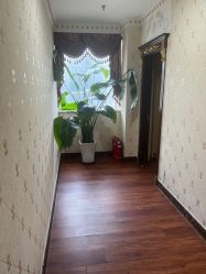 -安院长·产后恢复·徒手骨盆(先天下店)