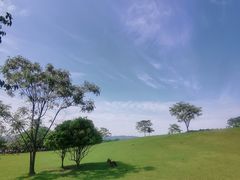 -良渚古城遗址公园