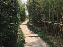 -竹子庵公园