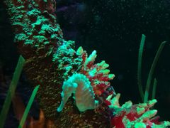 -沈阳海洋探索中心