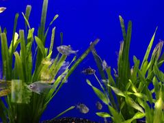 -上海海洋水族馆