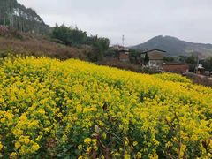-白鹭湾湿地公园