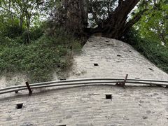 -玉泉观