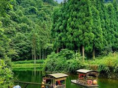 -龙苍沟森林公园