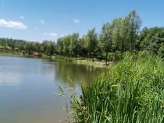 -东郊湿地公园