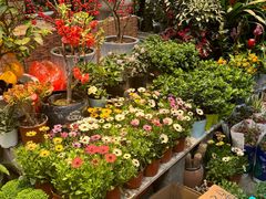 -香炉礁家具市场