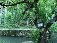 -广东温泉宾馆