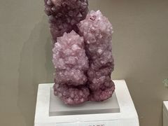 -天津自然博物馆