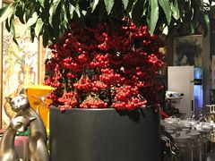 -紫藤燕语(兴澄银座店)