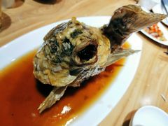 糖醋鲤鱼-崔义清鲁菜馆(大明湖店)
