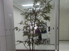 -极简口腔(总院)