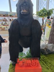 -IMON·HANSA潮玩玩偶毛绒玩具(通州万象汇店)