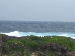 -龙坑生态保护区