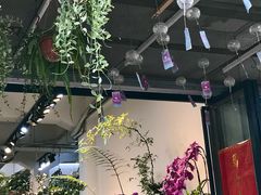 -溪岸路花鸟市场