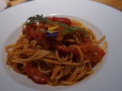 -伊斯坦布尔土耳其清真咖啡餐厅