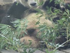 -无锡动物园·太湖欢乐园