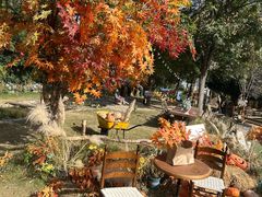 -HERRE·FARM 赫尔露营农场·团建聚会包场