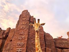 -五龙山野生动物王国