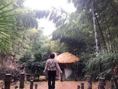 -天目湖山水园