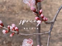 -马家湾湿地公园