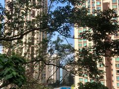 -香港大学