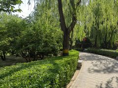 -古塔公园