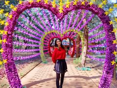 -北海金海湾红树林生态旅游区