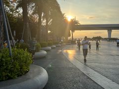 -宝安西湾红树林湿地公园