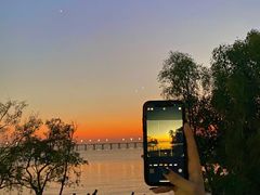 -宝安西湾红树林湿地公园