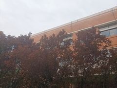 -清华大学-观畴园餐厅