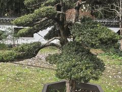 -水绘园