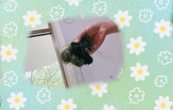 -AFA Hair studio·女士发型设计