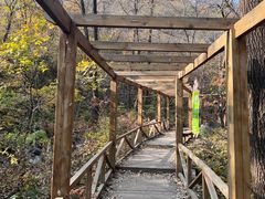 -大岭沟猕猴桃谷风景区