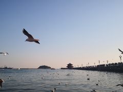 -五四广场