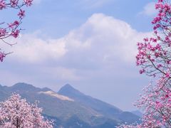-九皇山景区