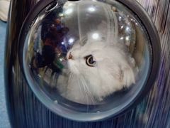 -宠颐生宠物医院外科·内科·皮肤科·影像科(石龙店)