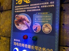 -哈尔滨波塞冬海底世界