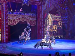 -珠海横琴长隆《卡卡虎奇遇记》