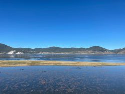-纳帕海依拉草原
