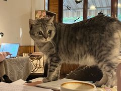 -隅cafe(傅厚岗店)