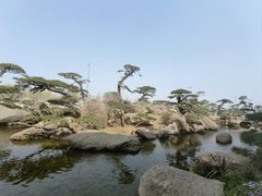 -罗红摄影艺术馆