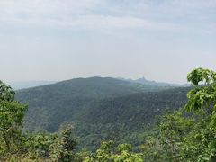 -铁山坪森林公园