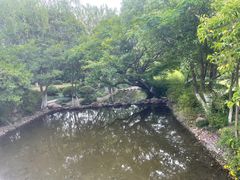 -汤山公园