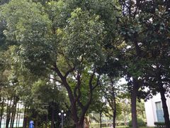 -甸园锦江宾馆(北外滩店)