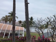 -雾山韩式烤肉·海南糟粕&椰子鸡火锅·海景餐厅(三亚绿发山海天JW万豪酒店)