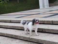 -宠颐生猫科·内科皮肤科(西平世纪城店)