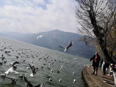 -滇池海埂公园