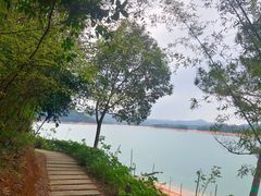 -广州市流溪河国家森林公园